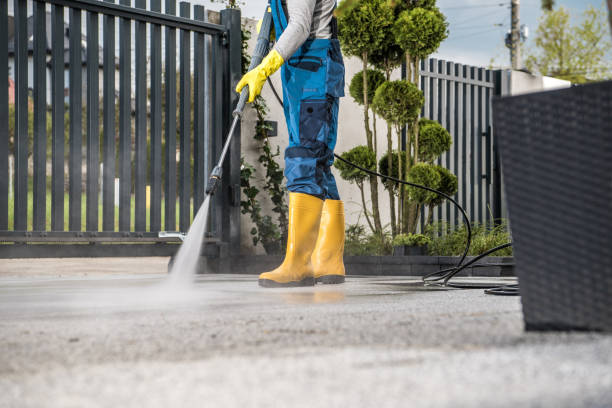 Best Roof Washing  in Basehor, KS
