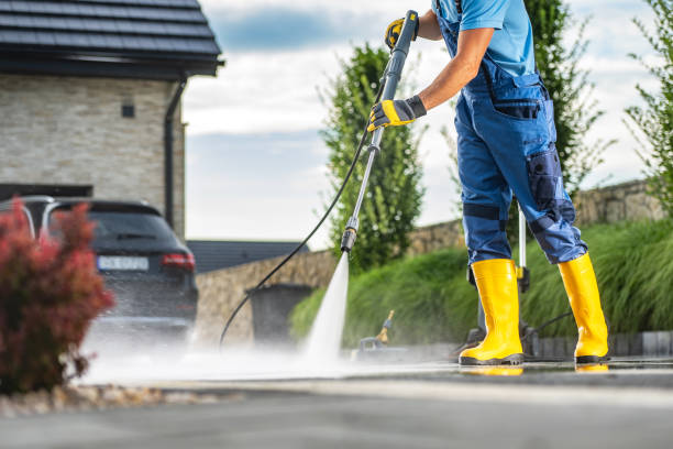 Best Gutter Cleaning  in Basehor, KS